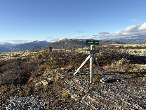 Teigkampen i Nord-Fron