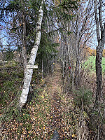 ØyvindBergkvam_20260106_695d22d2ca360.jpg