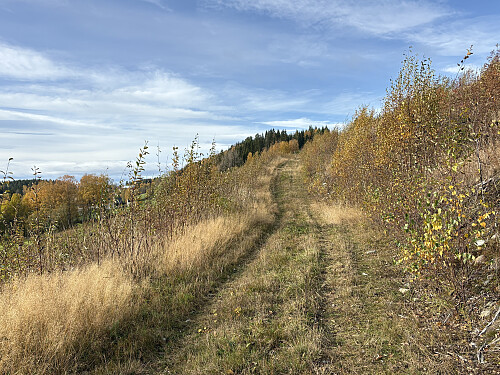 På vei opp mot åsryggen