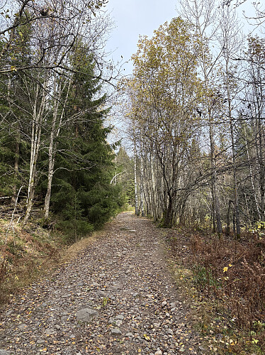 Fin turvei oppover mot utsiktspunket på vesttoppen