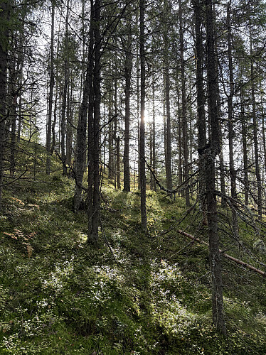 Siste stigningen opp til toppen