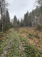ØyvindBergkvam_20260106_695d52d6081c5.jpg