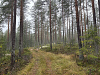 ØyvindBergkvam_20260106_695d52dbe81b3.jpg