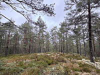 ØyvindBergkvam_20260110_69623215acfa5.jpg