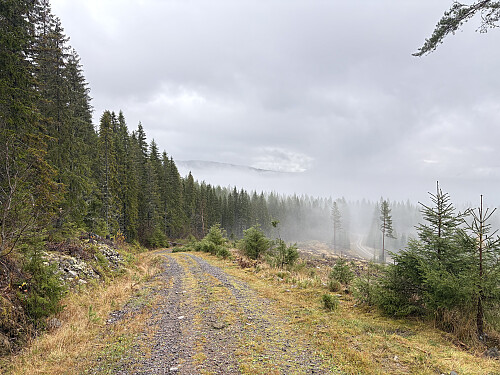 Utsikt tilbake fra stigningen opp mot toppen 