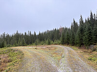 ØyvindBergkvam_20260110_6962373eec18e.jpg