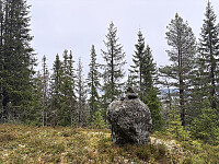 ØyvindBergkvam_20260110_69623743dffc7.jpg