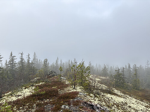 Gråkletten i Stor-Elvdal