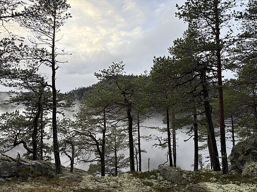 Fra skaret NØ for toppen. Snippen ses i bakgrunnen