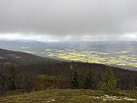 ØyvindBergkvam_20260120_696f8850e9ba9.jpg
