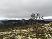 ØyvindBergkvam_20260120_696f91d6cd721.jpg