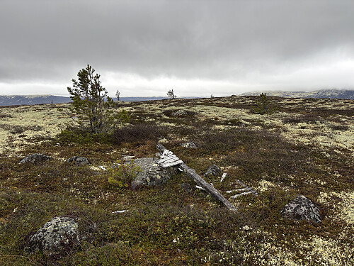 Dette punktet er markert som høyest på Vola