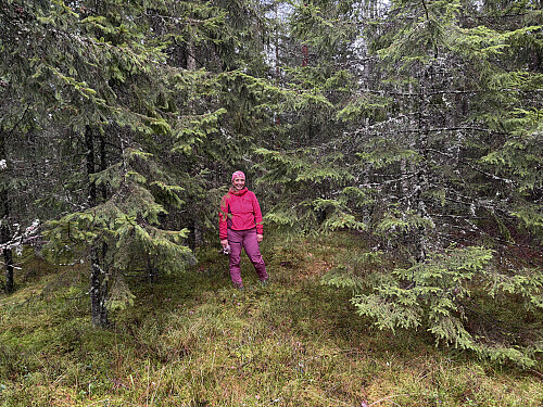 Høgfjellet i Nittedal