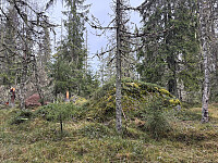 ØyvindBergkvam_20260121_6970897e137ec.jpg