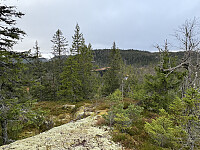 ØyvindBergkvam_20260124_697480db00a18.jpg