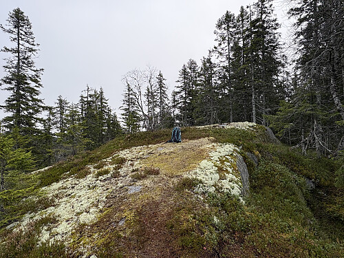 Syversdalsbrenna 645 moh