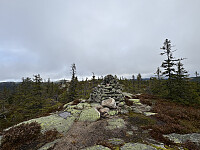 ØyvindBergkvam_20260124_697480e8807d5.jpg