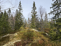 ØyvindBergkvam_20260124_6974896ba77b6.jpg