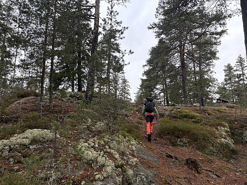 Like oppunder toppen