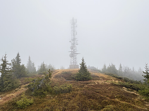 Kråkhugukampen i Nordre Land