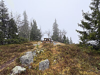 ØyvindBergkvam_20260125_6975cddf5b191.jpg