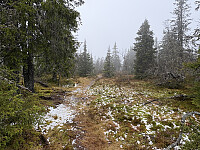 ØyvindBergkvam_20260125_6975d4864fa84.jpg