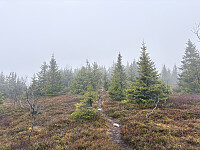 ØyvindBergkvam_20260125_6975d489ba0b6.jpg