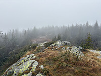 ØyvindBergkvam_20260125_6975d49cc5504.jpg