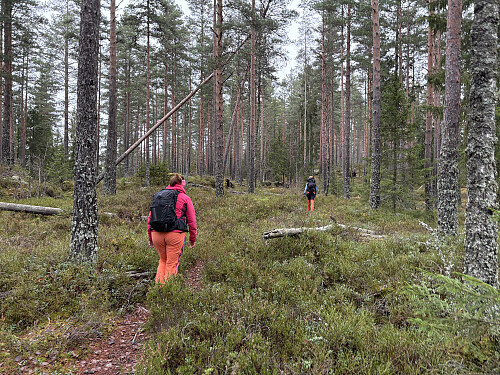 På vei opp mot Brattåsen
