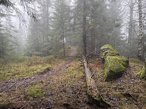 Like nedenfor Ramsås