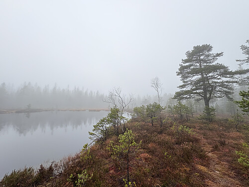 Ved tjernet øst for Ramsås