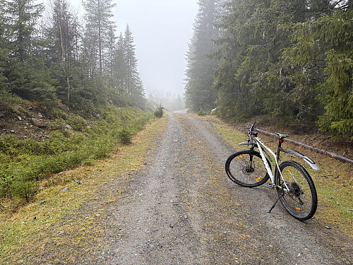 Det er fin sykkelvei fra bommen og inn til stien.