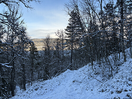 Jeg fulgte god sti rundt vestsiden av Kleppdalshøgda