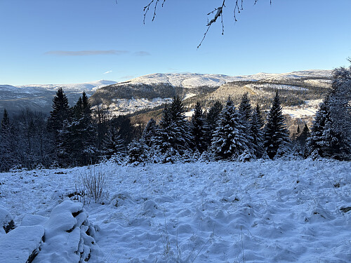 Utsikt vestover mot Torgeirkampen fra Kleppdalssetra