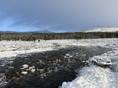 Denne dagen var elva nede i dalen litt utfordrende med et islag oppe på steinene