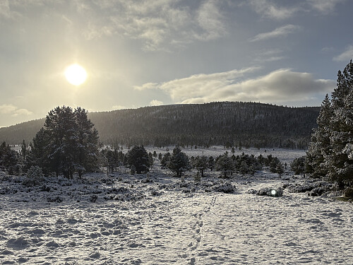Vel over på nordsiden av elva med tilbakeblikk til Hillingsberget