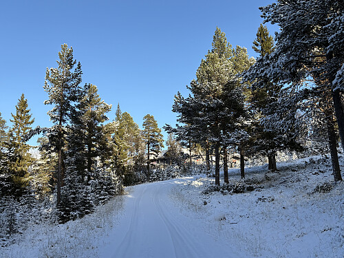 På vei opp mot hyttefeltet på Lauvåsen