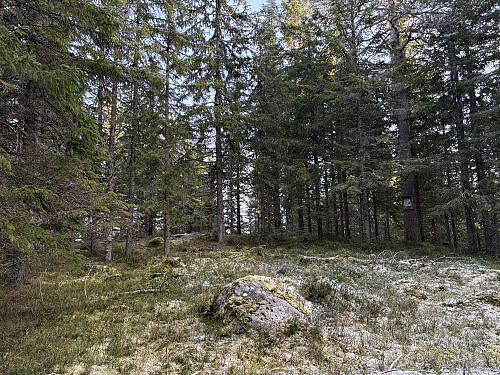 Storgråberget i Åsnes