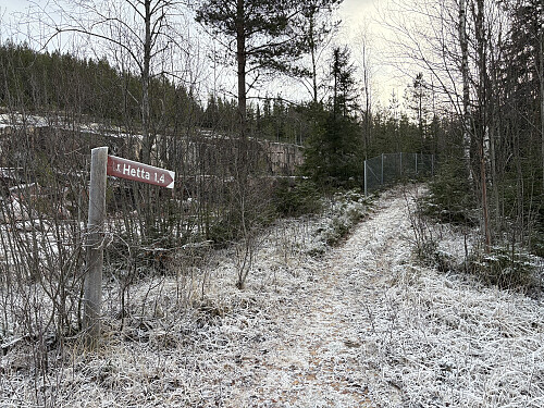 Her starter stien fra p-plassen