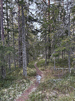 ØyvindBergkvam_20260228_69a2d1f34387b.jpg