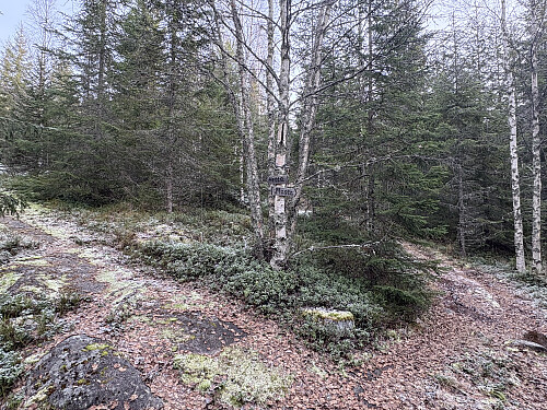 Stikrysset hvor man skal ta til venstre for å komme til Hetta...