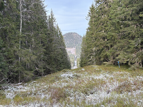 Grensegata nordover mot Elgklinten sett fra riksrøysa
