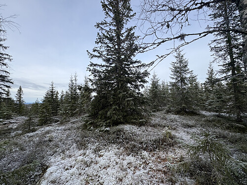 Gransjöberget i Sverige
