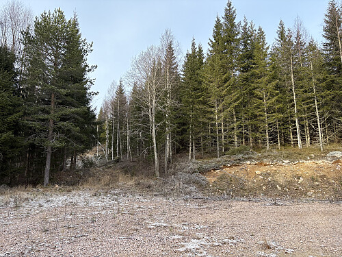Turen min startet opp denne traktorveien fra snuplassen