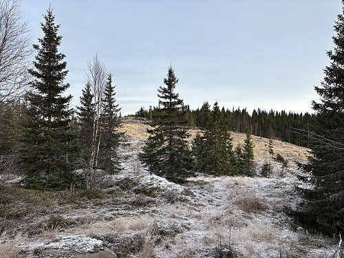 Toppen av den norske delen av Heiberget sett fra traktorveien
