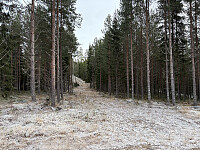 ØyvindBergkvam_20260228_69a335b4101ec.jpg