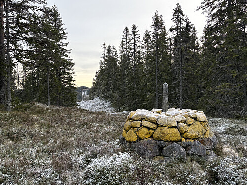 Riksrøys 95, Midtskogbergsrøysa
