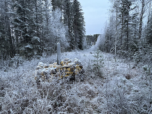 Riksrøys 96, Midtskogskilderøysa