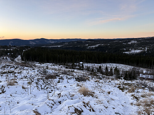På vei opp gjennom hogstfeltet