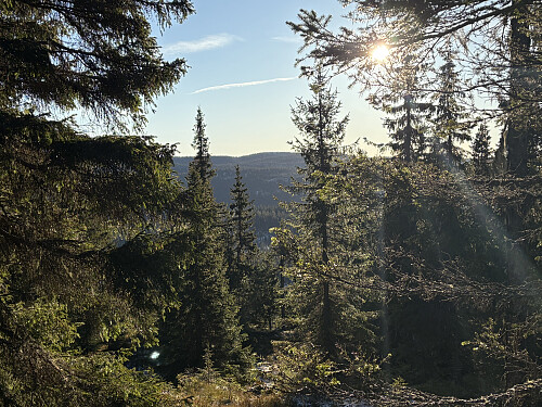 Dette er det nærmeste utsikt man kommer fra toppen av Høgda